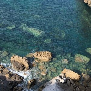 Meet your Posher, Ella